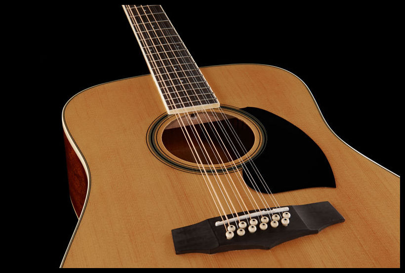 Обзор гитары Taylor 360E 12-string